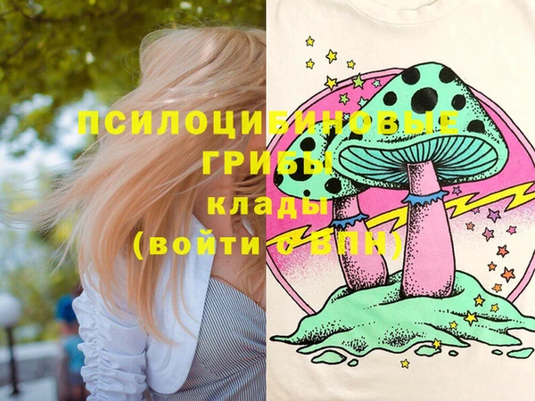 шишки Арсеньев