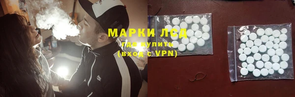 шишки Арсеньев