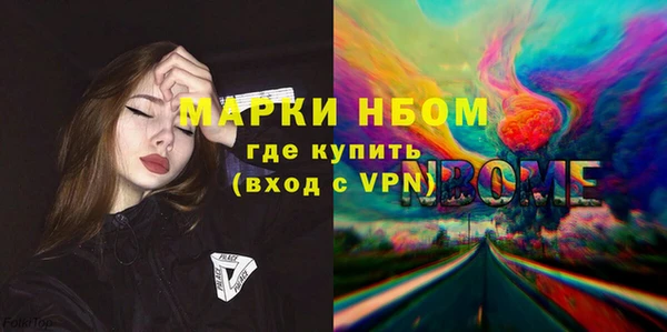 шишки Арсеньев