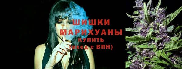 шишки Арсеньев
