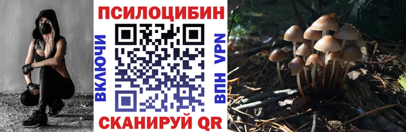 закладка  дарк нет какой сайт  Галлюциногенные грибы ЛСД  Видное 